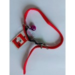 CAT STRETCH COLLAR W/ELASTIC (10mm x 30cm)