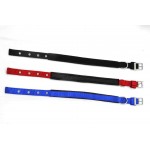 NYLON COLLAR W/SOFT PAD 1''
